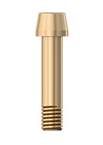 Replacement Retaining Screw-Long