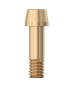 Retaining Screw - Clinic